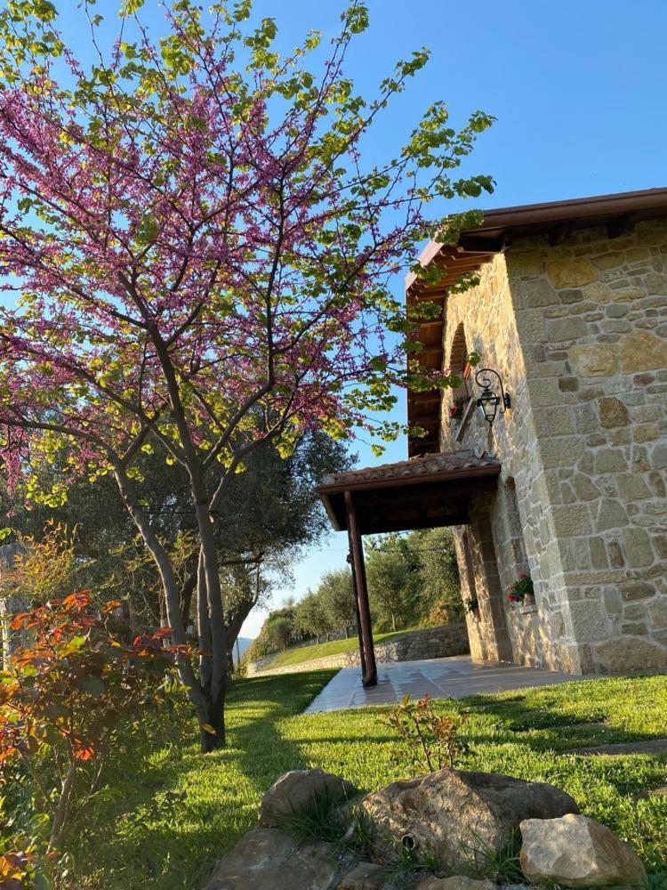 Villa Bujtina Salko Mucaj Exterior foto