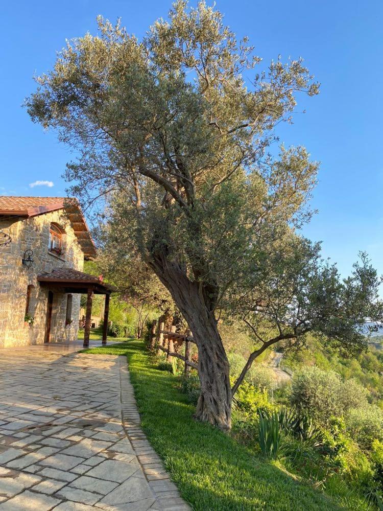 Villa Bujtina Salko Mucaj Exterior foto